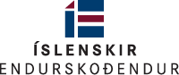 Íslenskir endurskoðendur